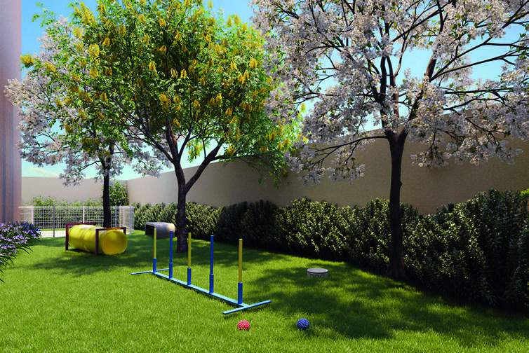 Pet agility — Plano&Mais Butantã